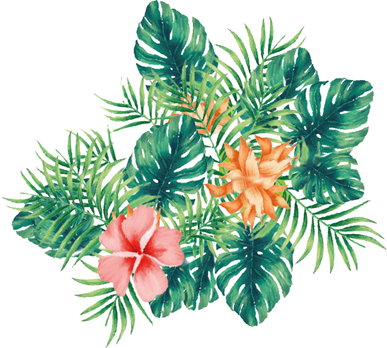 Blumen-La-Farina